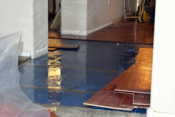 Professional Burst Pipe Cleanup technician working in Lomita, CA